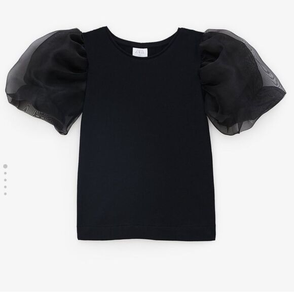 Zara Other - Black Organza Sleeve Top